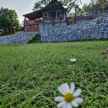 Mountain Village House Cetinje Exteriér fotografie