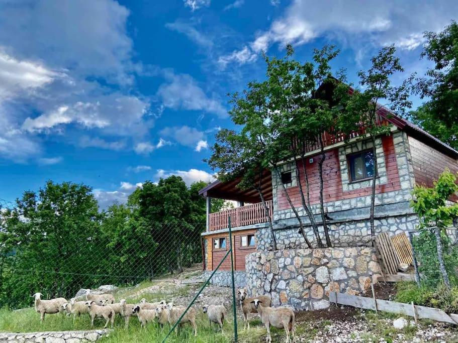 Mountain Village House Cetinje Exteriér fotografie