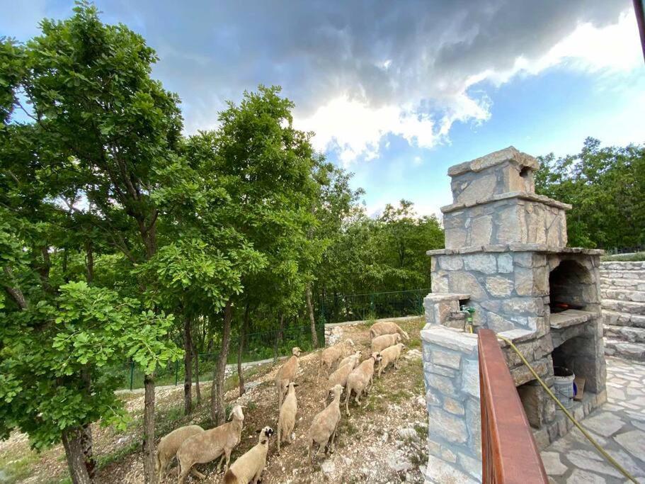 Mountain Village House Cetinje Exteriér fotografie