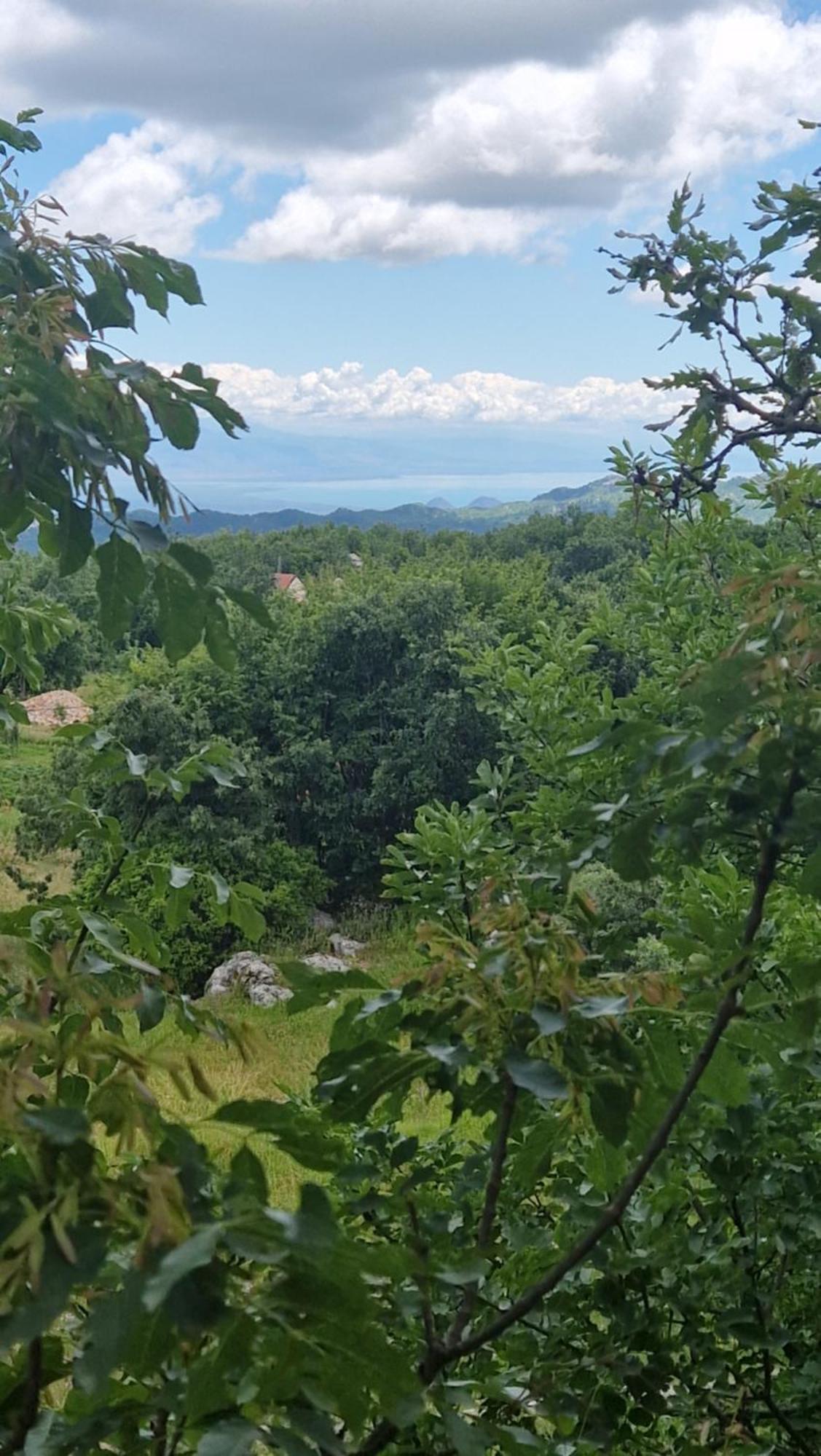 Mountain Village House Cetinje Exteriér fotografie