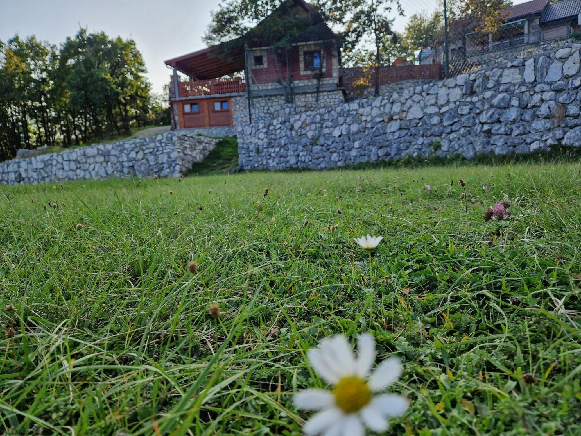 Mountain Village House Cetinje Exteriér fotografie